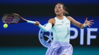 字母哥统治 字母哥统治