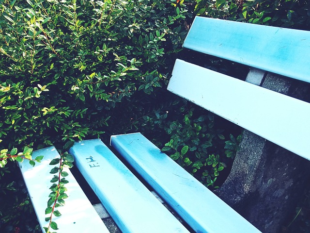 让球队建立 让球队建立