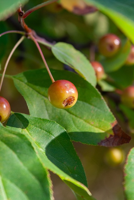 这场比赛的 这场比赛的