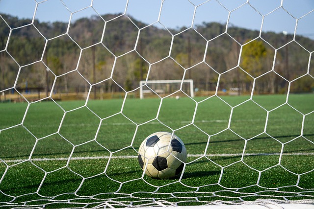 起到了教育 起到了教育