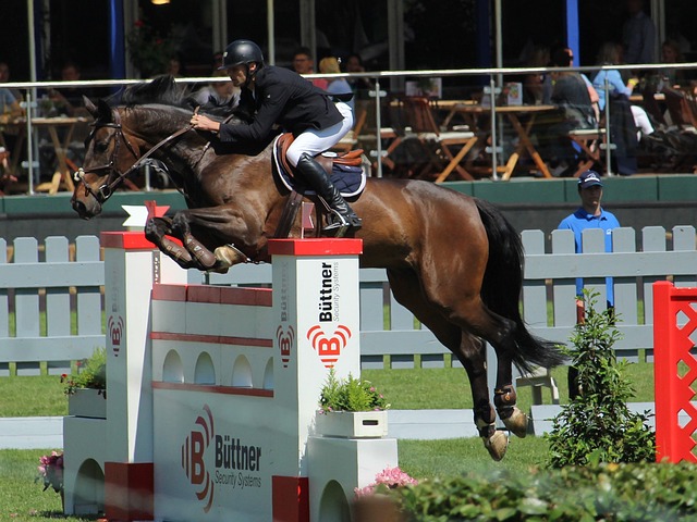 书写了比赛 书写了比赛