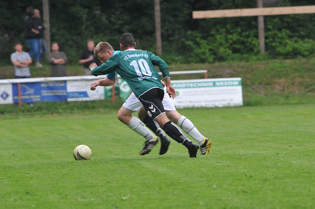 培养年轻球 培养年轻球