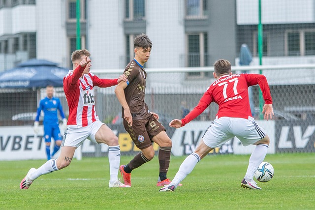 了自己的综 了自己的综