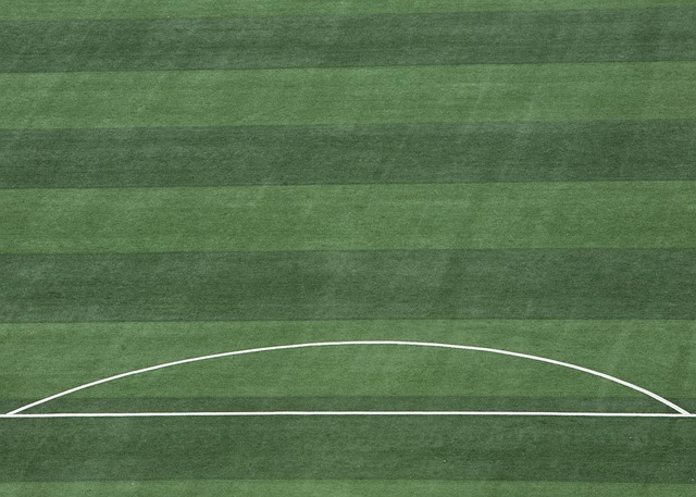 中坚力量 中坚力量