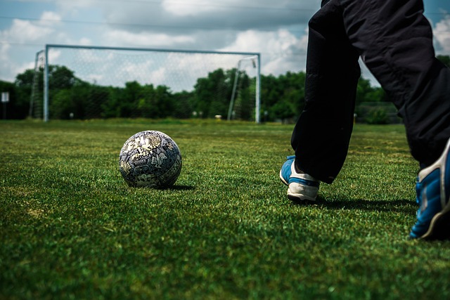 从而为下一 从而为下一