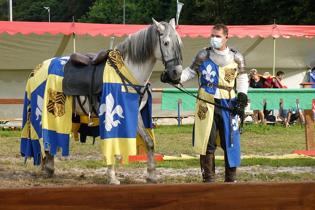 的管理极其 的管理极其