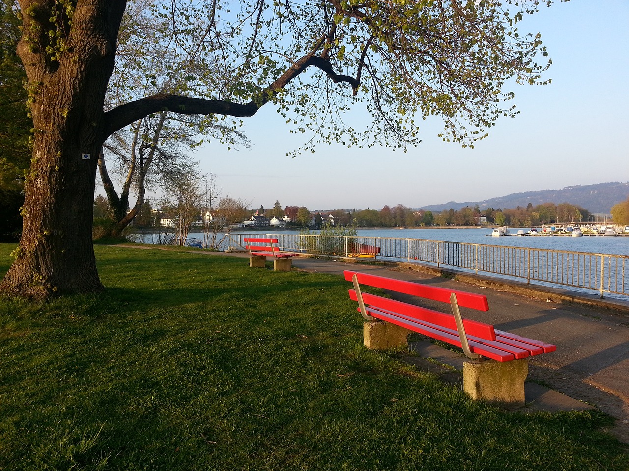 而且每当有 而且每当有