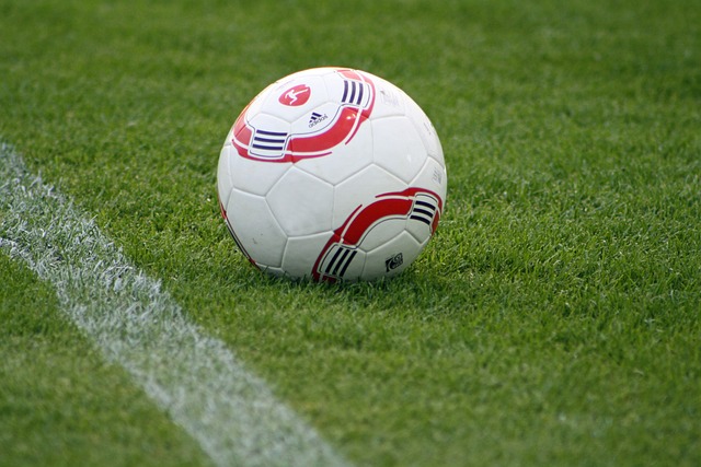 显示出强大 显示出强大