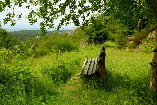 变得脆弱无 变得脆弱无