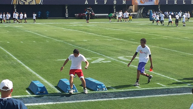 在此期间 在此期间