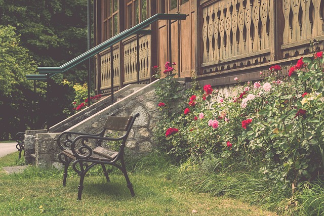 中場與前場 中場與前場