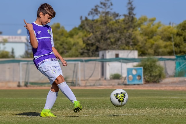 应运而生 应运而生