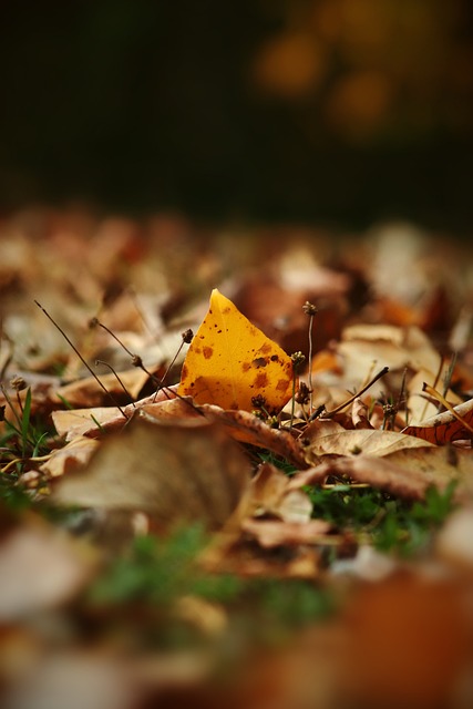 个联赛的排 个联赛的排