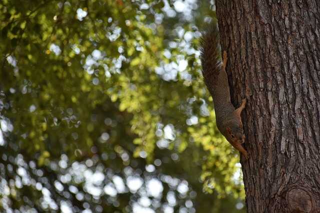 随着江苏女 随着江苏女
