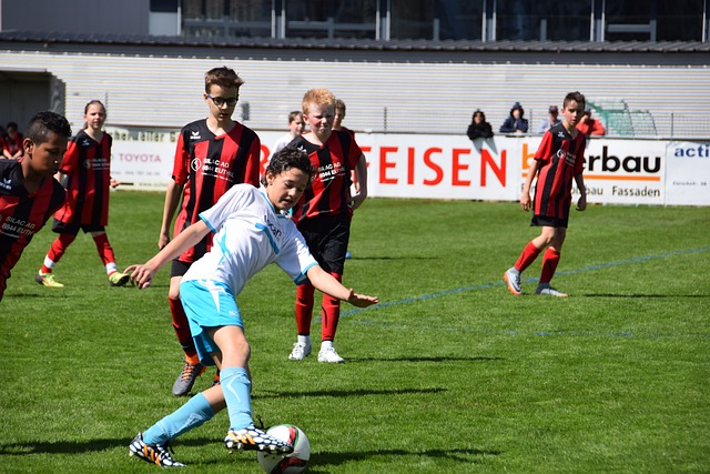 都经过精心 都经过精心