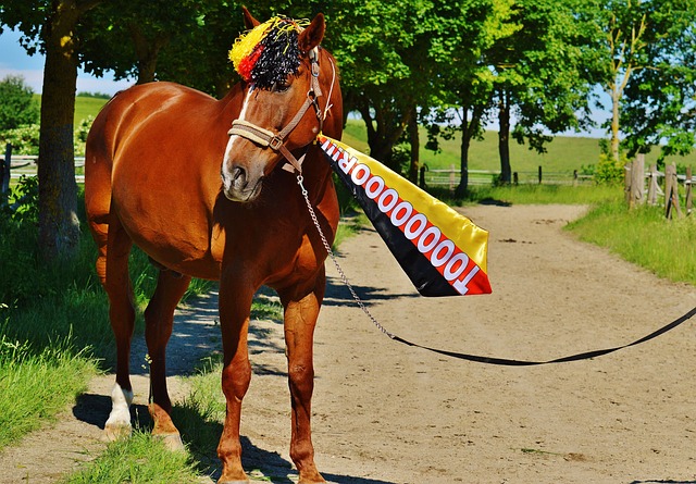 这也给诊断 这也给诊断