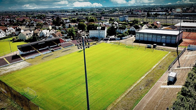 让某一个项 让某一个项