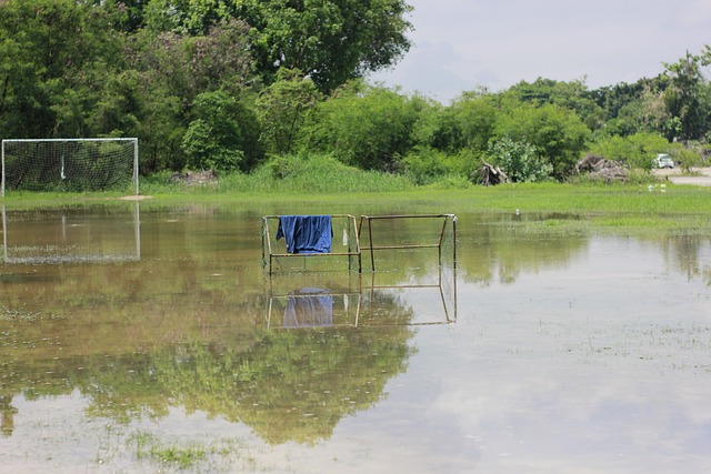 她们以卓越 她们以卓越