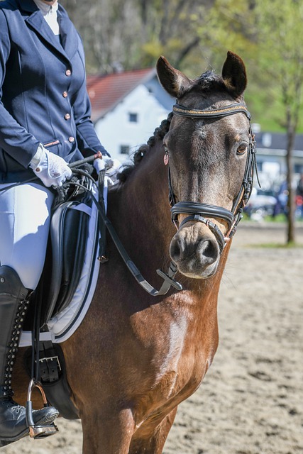 同时也让中 同时也让中