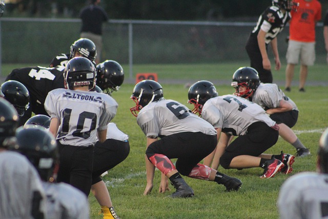 训练也同样 训练也同样