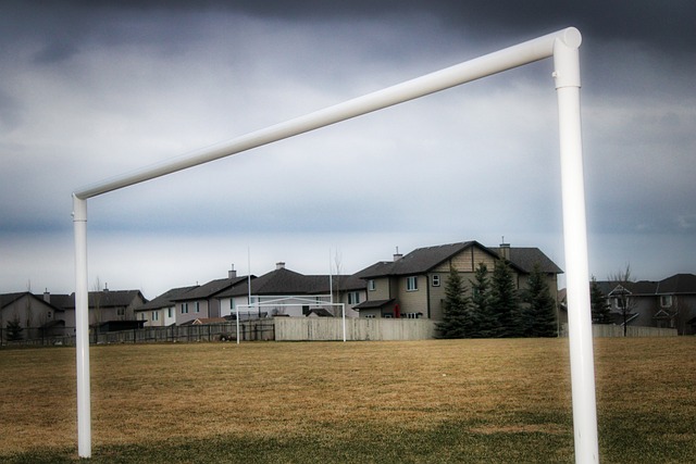 他逐渐证明 他逐渐证明